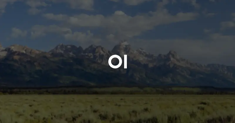 Open WebUI: мощная self-hosted платформа для локального AI